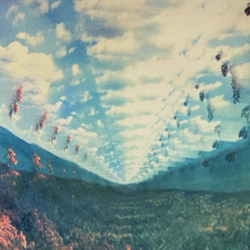 Meet your Posher, Caitlyn